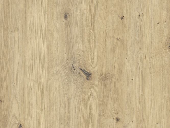 Dąb Artisan 5307.jpg