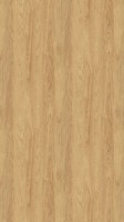 H3730 ST10 Hikora naturalna..jpg