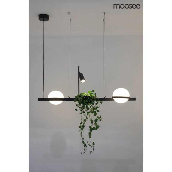 MOOSEE lampa wisząca PLANT czarna