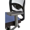 GULIETTA fotel gabinetowy, oparcie - siatka, siedzisko - czarny / niebieski - ERF6026-121013