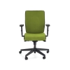 POP fotel pracowniczy, kolor: pasek boczny - czarny RN60999, front - zielony M38-121106