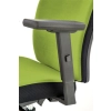 POP fotel pracowniczy, kolor: pasek boczny - czarny RN60999, front - zielony M38-121108